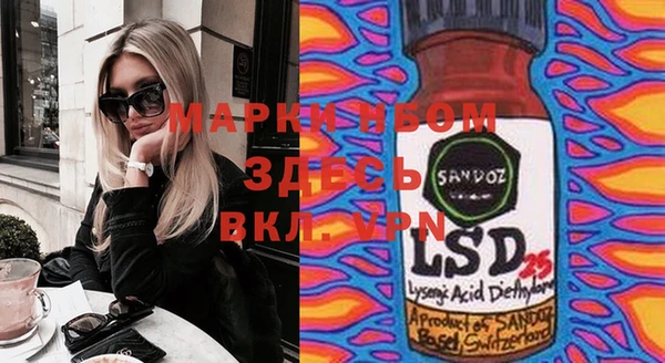 шишки Нязепетровск